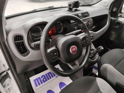 Fiat Panda 1.0 FireFly S&S Hybrid City Cross (8)