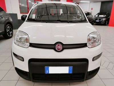 Fiat Panda 1.0 FireFly S&S Hybrid City Cross (2)