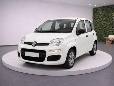 Fiat Panda 1.0 firefly hybrid s&s 70cv 5p.ti usata