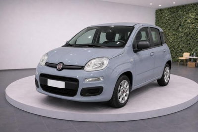 Fiat Panda 1.0 firefly hybrid s&s 70cv 5p.ti usata