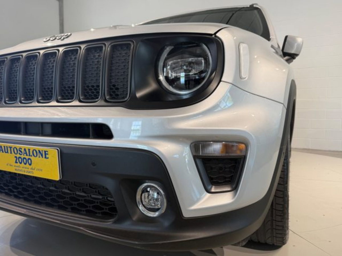 Jeep Renegade 1.3 T4 DDCT S (16)