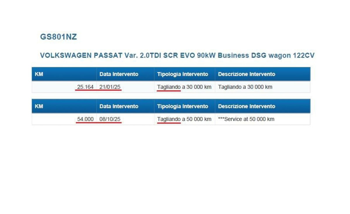 Volkswagen Passat Variant 2.0 TDI SCR 122 CV EVO DSG Business (14)