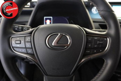 Lexus UX Hybrid Business (16)