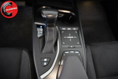 Lexus UX Hybrid Business (18)