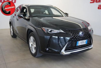 Lexus UX Hybrid Business (3)