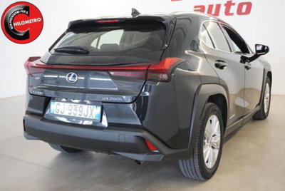 Lexus UX Hybrid Business (6)