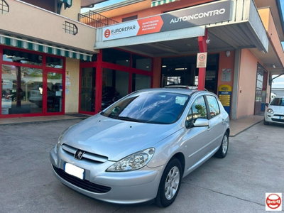 Peugeot 307 16V 5p. XS usata