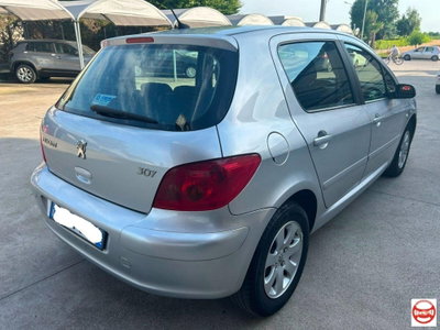 Peugeot 307 16V 5p. XS (5)