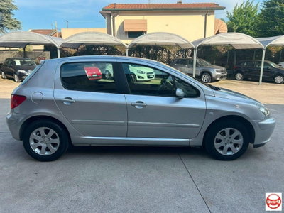 Peugeot 307 16V 5p. XS (6)