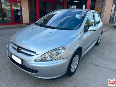 Peugeot 307 16V 5p. XS (9)