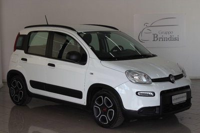 Fiat Panda 1.0 FireFly S&S Hybrid City Cross usata