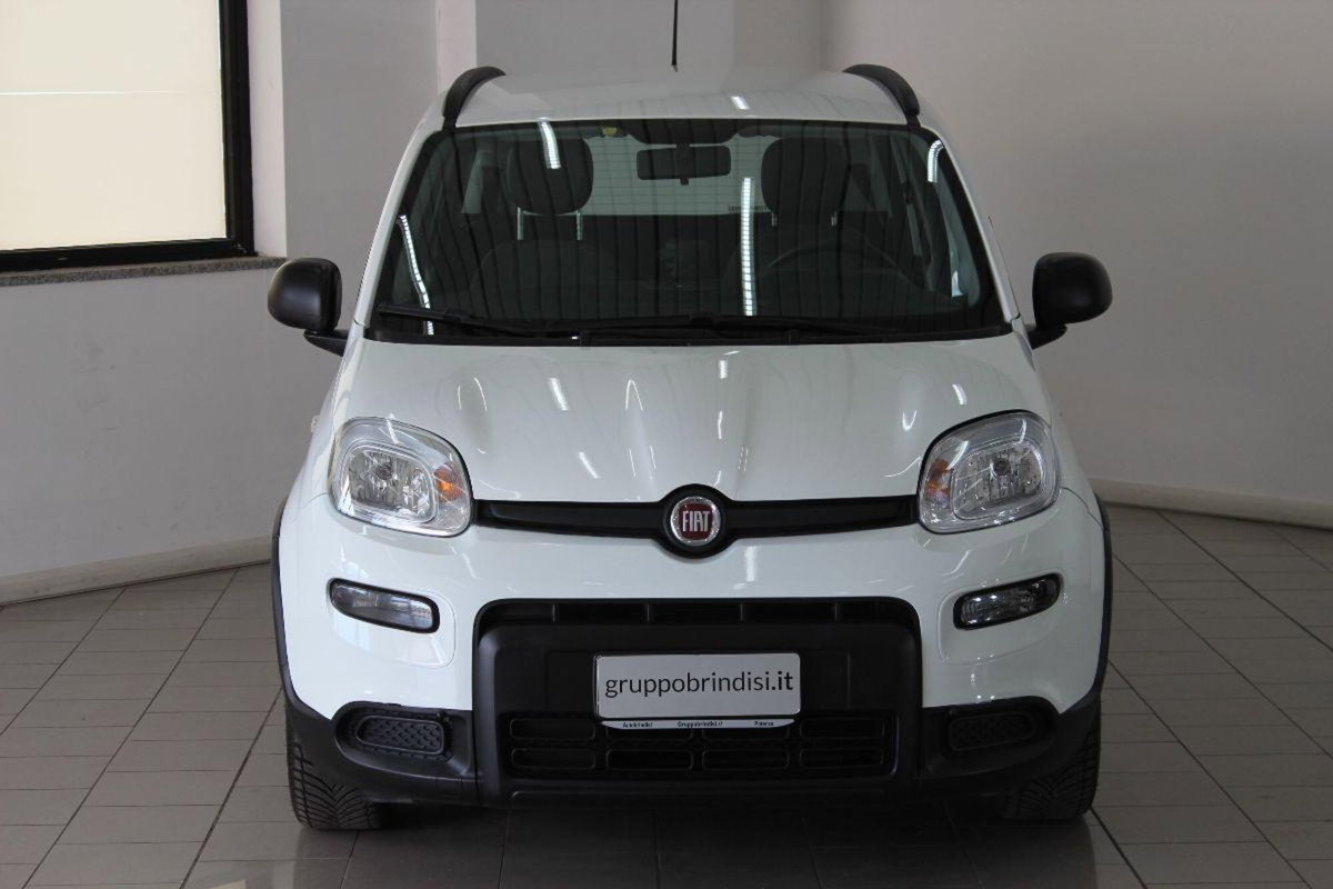 Fiat Panda 1.0 FireFly S&S Hybrid City Cross (2)