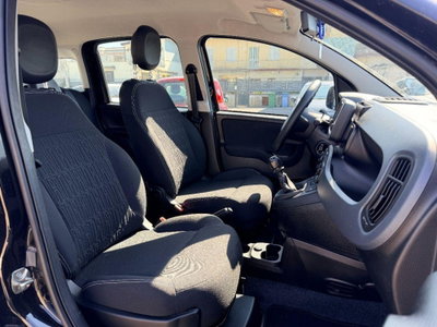 Fiat Panda 1.0 firefly hybrid Pop s&s 70cv (10)