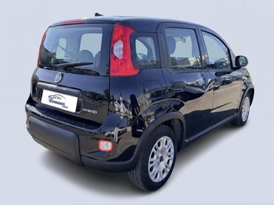 Fiat Panda 1.0 firefly hybrid Pop s&s 70cv (5)