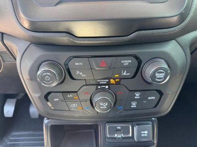Jeep Renegade 1.6 Mjt 120 CV Limited (20)