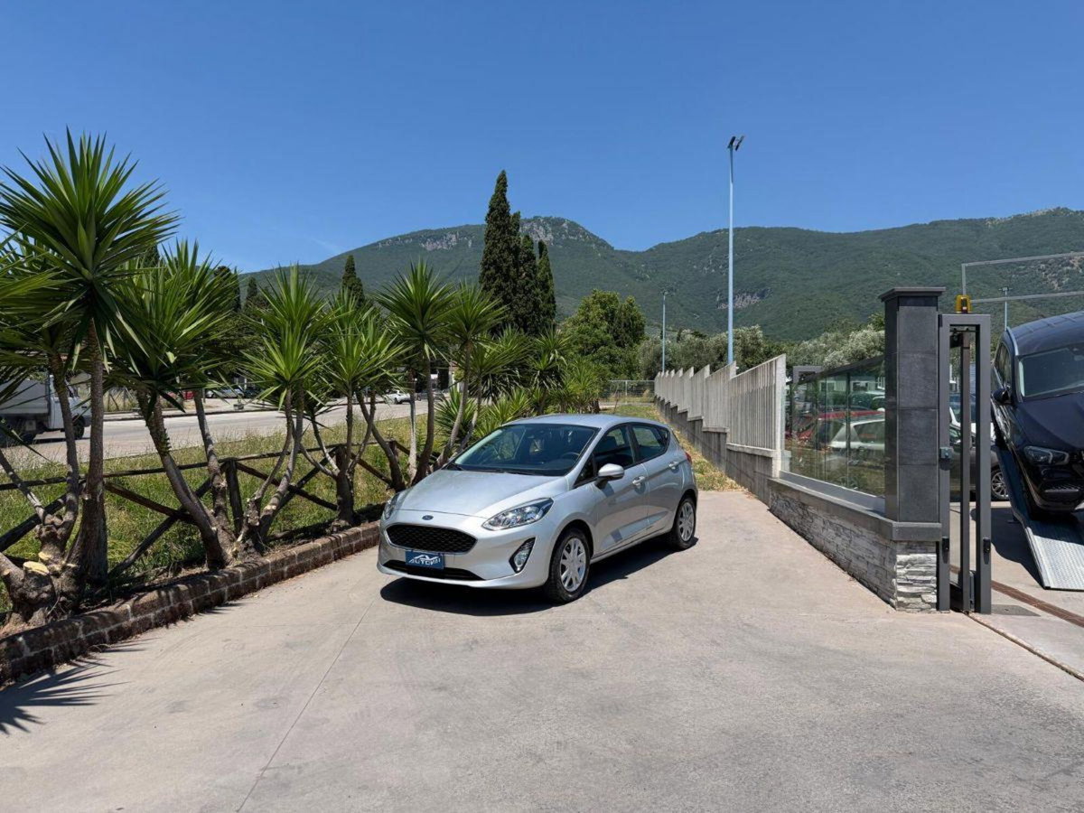 Ford Fiesta 1.1 85 CV 5 porte Titanium