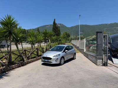 Ford Fiesta 1.1 85 CV 5 porte Titanium usata