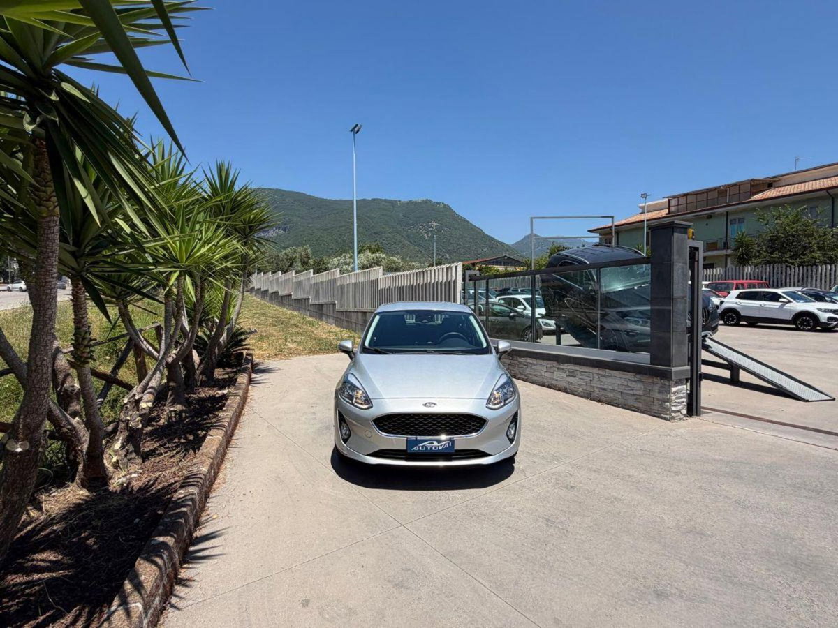 Ford Fiesta 1.1 85 CV 5 porte Titanium (3)
