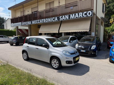 Fiat Panda 1.2 Easy usata