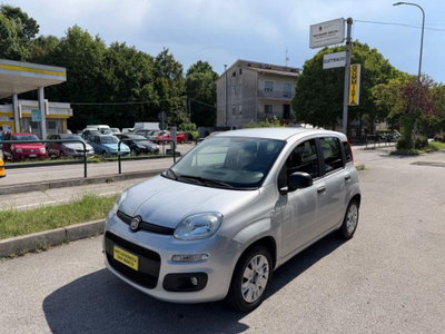 Fiat Panda 1.2 Easy (3)
