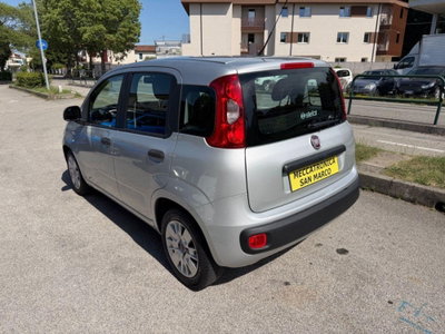Fiat Panda 1.2 Easy (6)