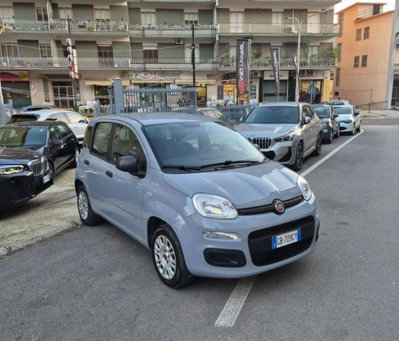 Fiat Panda 1.2 Easy (2)
