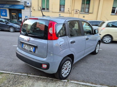 Fiat Panda 1.2 Easy (6)