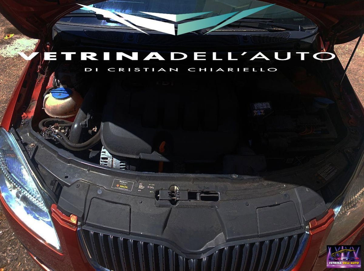 Skoda Fabia 1.9 TDI F.AP. 5p. Comfort (13)