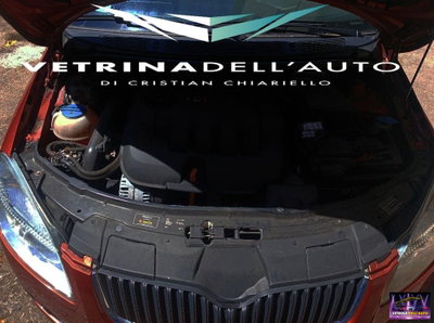Skoda Fabia 1.9 TDI F.AP. 5p. Comfort (13)