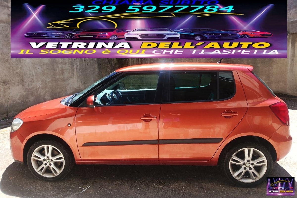 Skoda Fabia 1.9 TDI F.AP. 5p. Comfort (3)