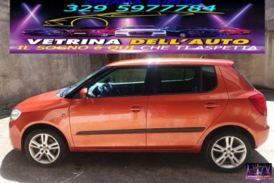 Skoda Fabia 1.9 TDI F.AP. 5p. Comfort (3)
