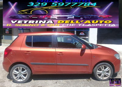 Skoda Fabia 1.9 TDI F.AP. 5p. Comfort (8)