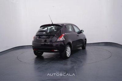 Lancia Ypsilon 1.2 69 CV 5 porte Elefantino (6)