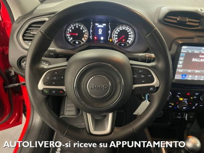 Jeep Renegade 1.0 T3 Limited (15)