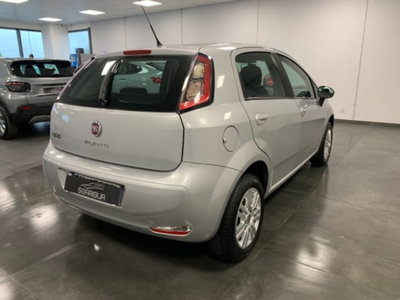 Fiat Punto 1.4 8V 5 porte Natural Power Lounge (6)