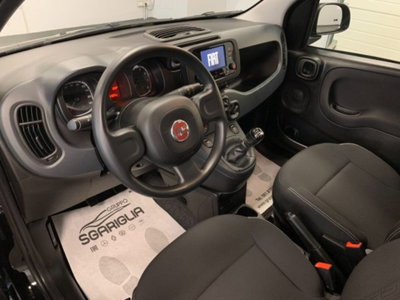 Fiat Panda 1.0 firefly hybrid s&s 70cv 5p.ti (16)