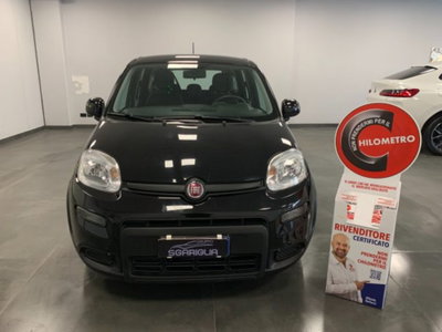 Fiat Panda 1.0 firefly hybrid s&s 70cv 5p.ti (2)