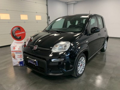 Fiat Panda 1.0 firefly hybrid s&s 70cv 5p.ti (3)