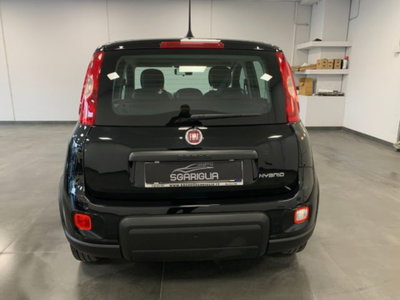 Fiat Panda 1.0 firefly hybrid s&s 70cv 5p.ti (5)