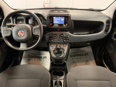 Fiat Panda 1.0 firefly hybrid s&s 70cv 5p.ti (7)