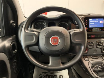 Fiat Panda 1.0 firefly hybrid s&s 70cv 5p.ti (9)