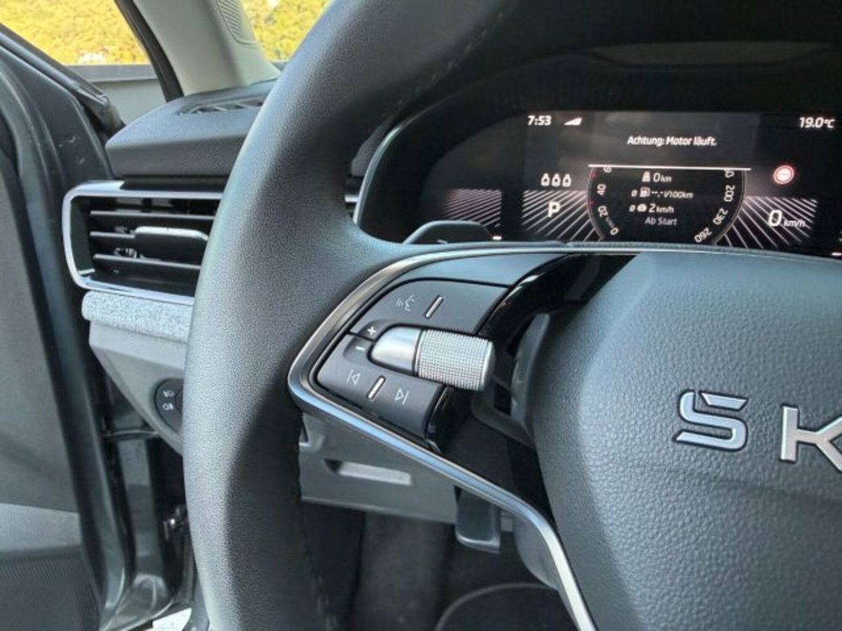 Skoda Kamiq 1.0 tsi Black Dots 115cv dsg (12)