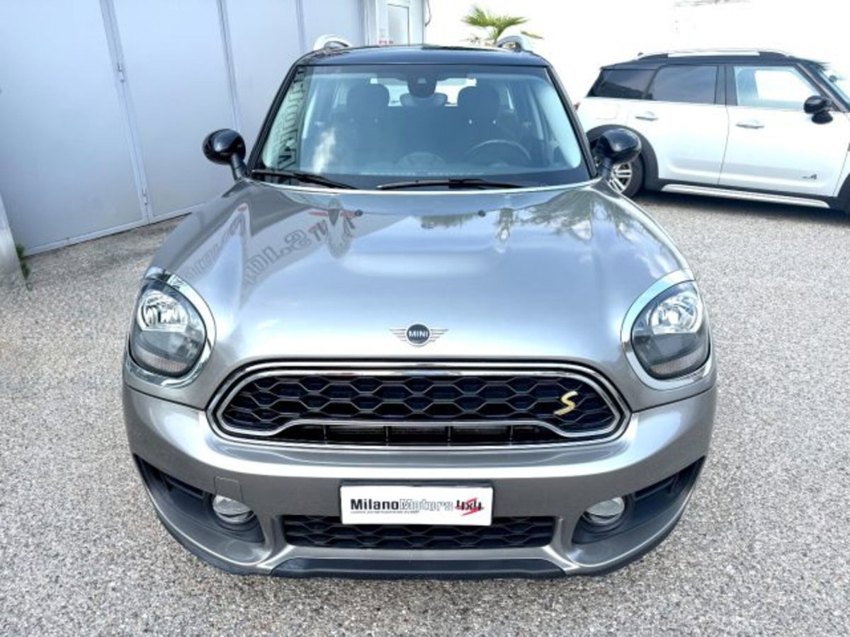 MINI Mini Countryman 1.5 Cooper Essential Countryman ALL4 (5)