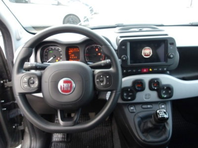 Fiat Panda Cross 1.0 firefly hybrid Cross s&s 70cv 5p.ti (10)