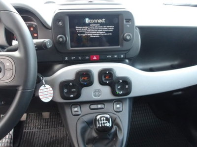 Fiat Panda Cross 1.0 firefly hybrid Cross s&s 70cv 5p.ti (11)