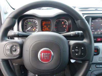 Fiat Panda Cross 1.0 firefly hybrid Cross s&s 70cv 5p.ti (12)