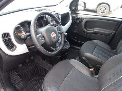 Fiat Panda Cross 1.0 firefly hybrid Cross s&s 70cv 5p.ti (9)