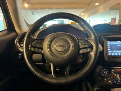 Jeep Renegade 1.0 T3 Business (12)