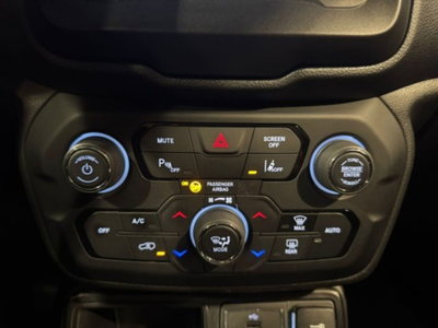 Jeep Renegade 1.0 T3 Business (15)