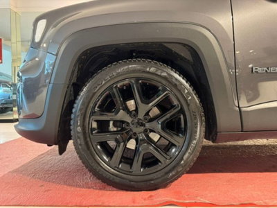 Jeep Renegade 1.0 T3 Business (5)